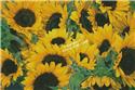 Pattern, Sunflowers Photo (Large) by Artecy Cross Stitch