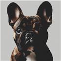 Pattern, Brindle French Bulldog 2 by White Willow Stitching
