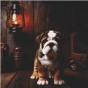 Pattern, English Bulldog Puppy by White Willow Stitching