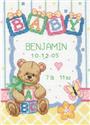 Baby Blocks Birth Record