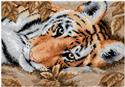 Beguiling Tiger