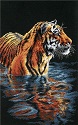 Tiger Chilling Out