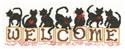 Welcome Kittens