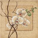 Oriental Orchids