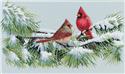Kit, Winter Cardinals by Dimensions