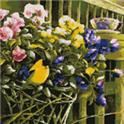 Pattern, Pansy Party by Kustom Krafts