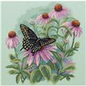 Butterfly & Daisies