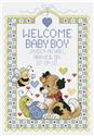 Welcome Baby Boy Sampler