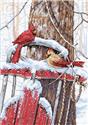 Cardinals On Sled