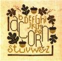 Acorn