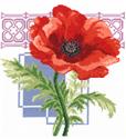 Warm Red Poppy