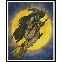Witch on a Broom