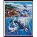 Sea Life