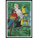 Tropical Birds