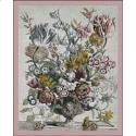 Twelve Months of Flowers - April