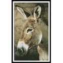 Donkey