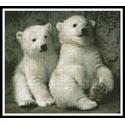 Polar Bear Cubs 2