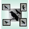 Pattern, Raven Silhouettes by Pine Glen Designs