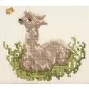 Baby Alpaca