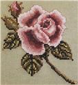 English Rosebud