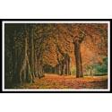 Autumn Landscape