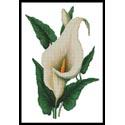 Pattern, Calla Lily by Artecy Cross Stitch