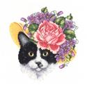 Katie Kitty