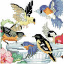 Bird Bath