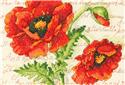 Kit, Poppy Pair by Dimensions