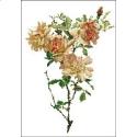 Pattern, Willmott: Fortunes Double Yellow Rose by PinoyStitch