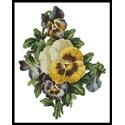 Pansies 2