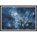 Tree Silhouette against Starry Night