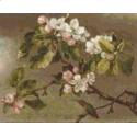 Pattern, Hummingbird And Apple Blossoms by The Art of Stitch
