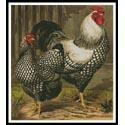 Wyandotte Chickens