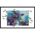 Clown Triggerfish