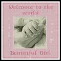 Baby Girl Hand Sampler
