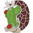 Arizona Heart Cactus