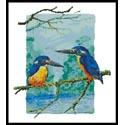Two Azure Kingfishers