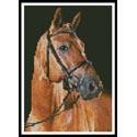Mini Portrait of a Brown Horse