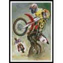 Off Road Riders