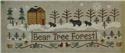 Bear Tree Forest