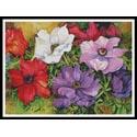 Colourful Anemones
