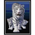 White Tigers
