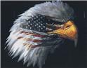 American Pride