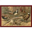 Pheasants Galore