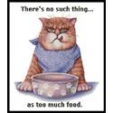Too Much Food