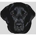Onyx - Black Lab