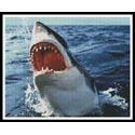 Great White