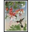 Fuschia and Hummingbird