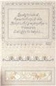 Antique Button Sampler